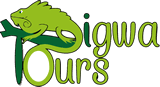 Igwatours